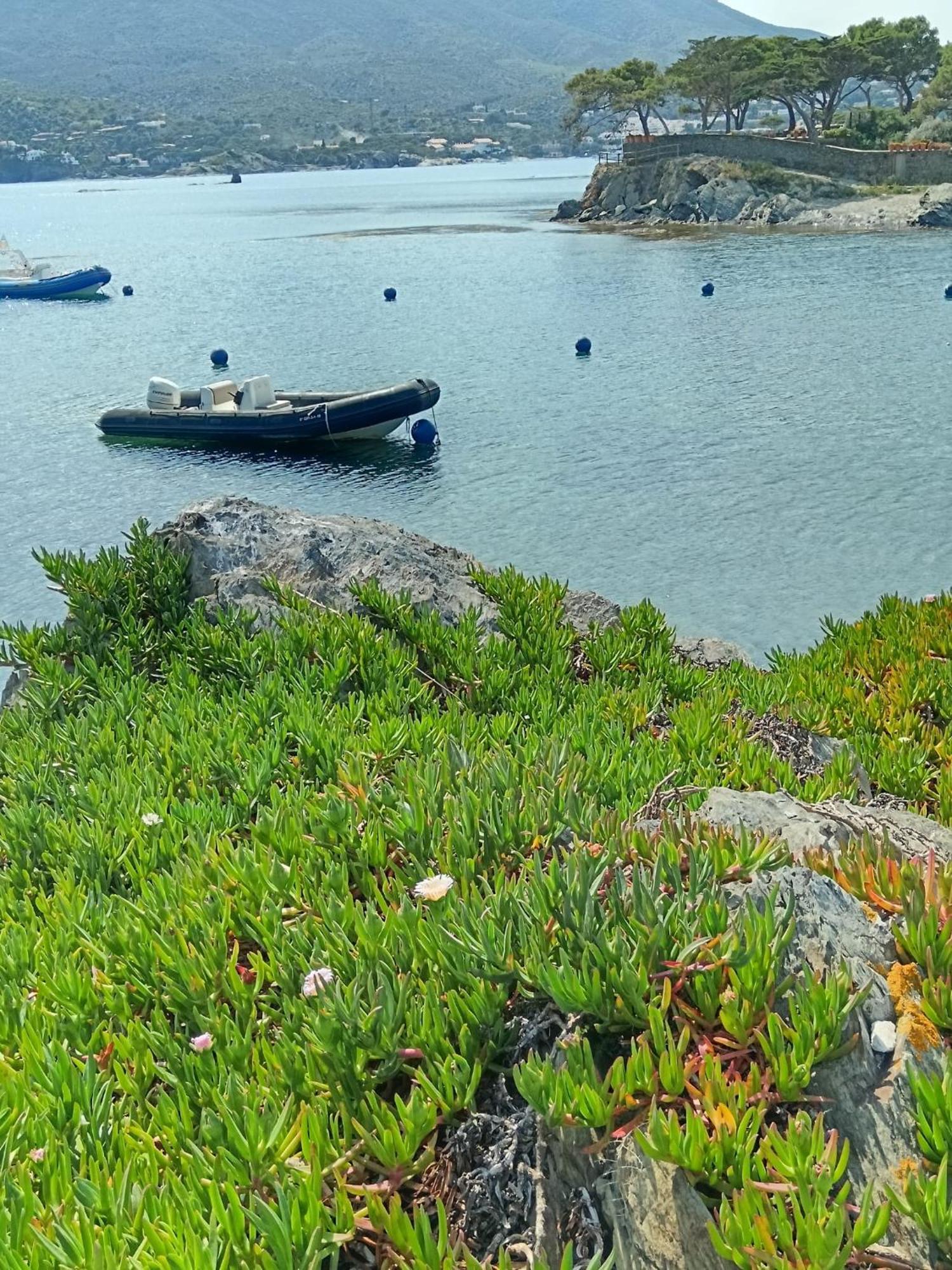 Isla Privada En De Ensueño Con 11 Dobles Con Baño Privado Y Piscina * Cadaqués