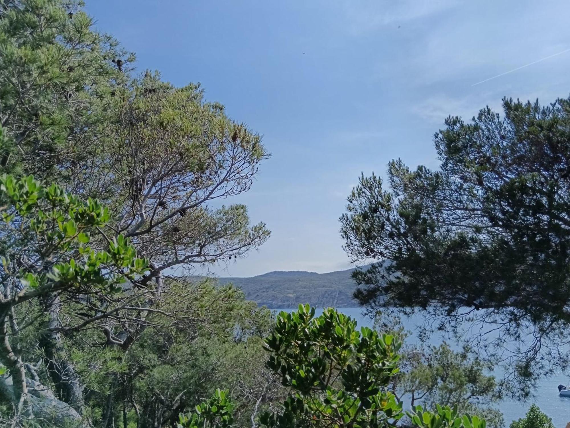 Isla Privada En De Ensueño Con 11 Dobles Con Baño Privado Y Piscina Villa Cadaqués